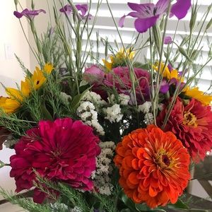 Meet your Posher, Caitlin